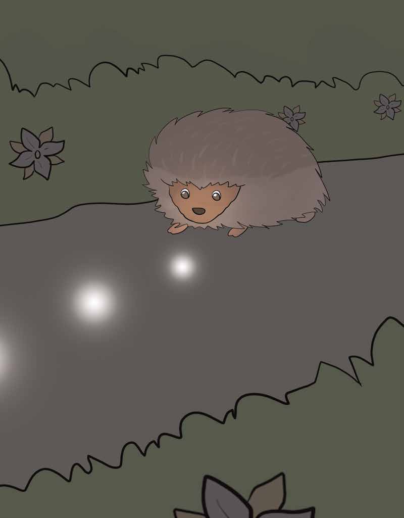 Hazel the Hedgehog