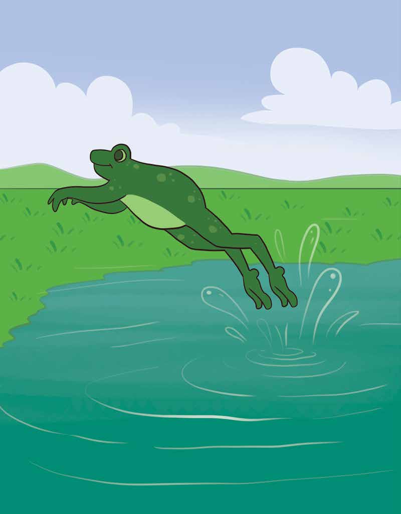 Freddie the Frog