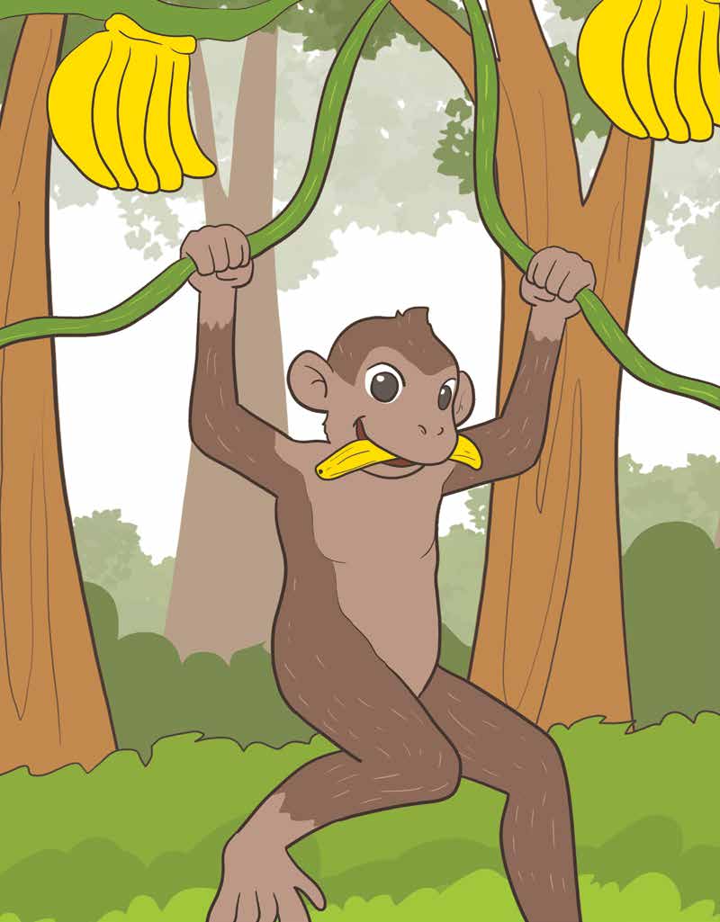 Milo the Monkey