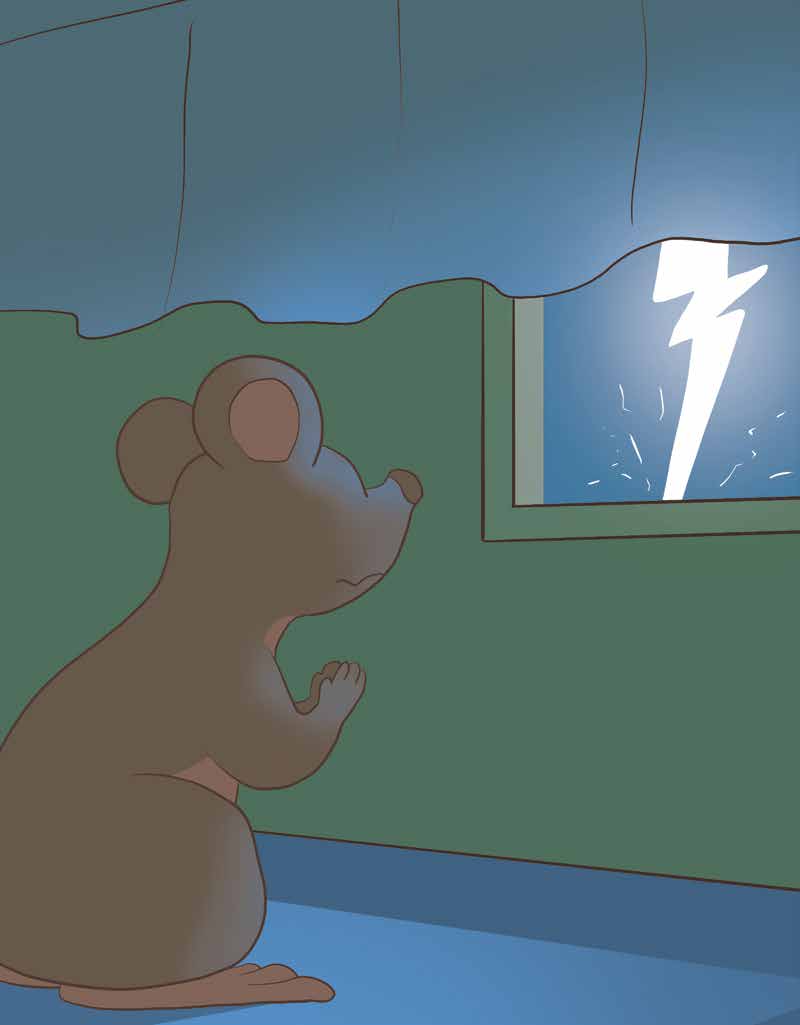 Millie the Mouse