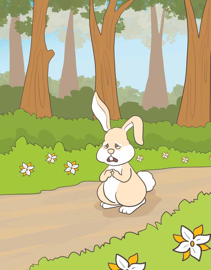 Bella the Bunny