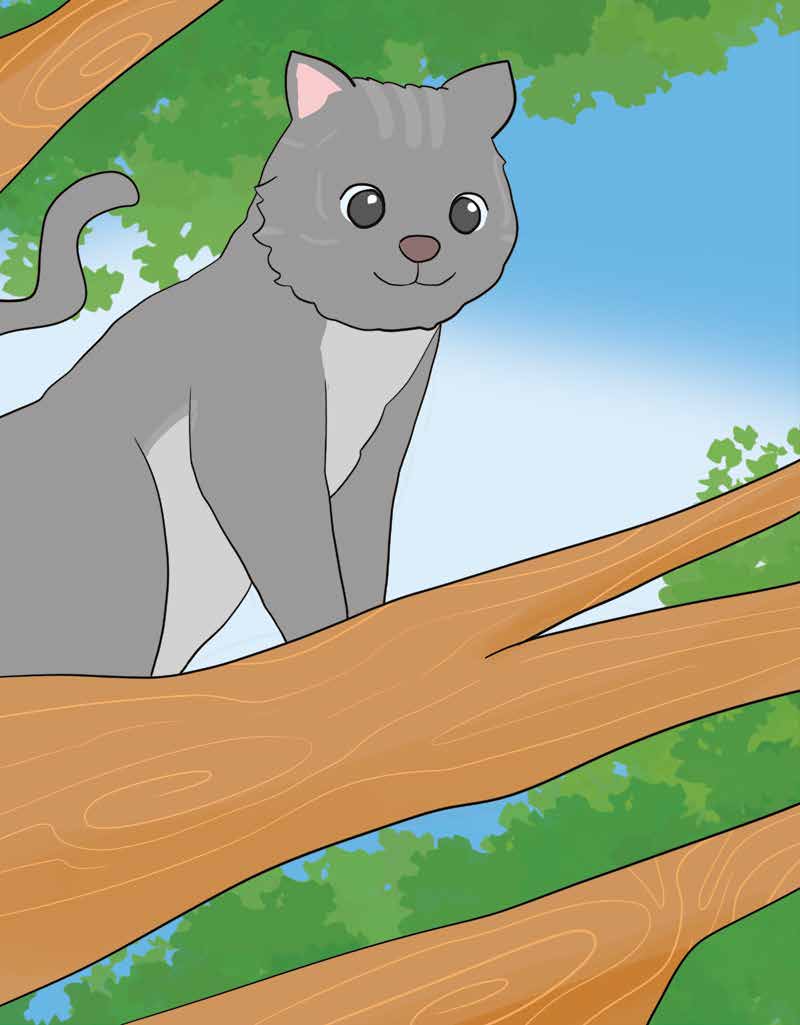 Coco the Cat